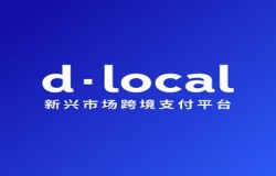 dLocal 将携《赢在新兴：新兴市场支付实战指南》，亮相 2024 ChinaJoy BTOB